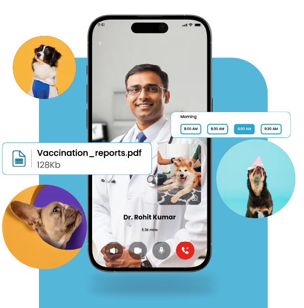 Book Online Vet Consultation - Download VnC App Now