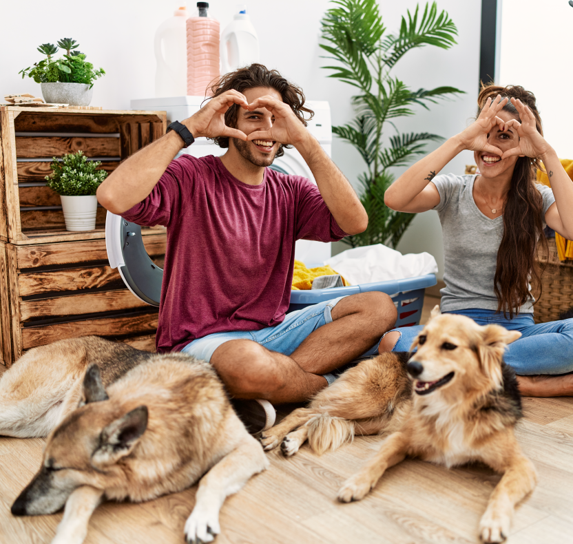 Easy One-on-One Vet Video Consultations Pet Parent Relaxing With Dogs