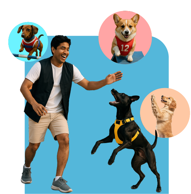 Online Certified Pet Trainer App For Dog And Cat