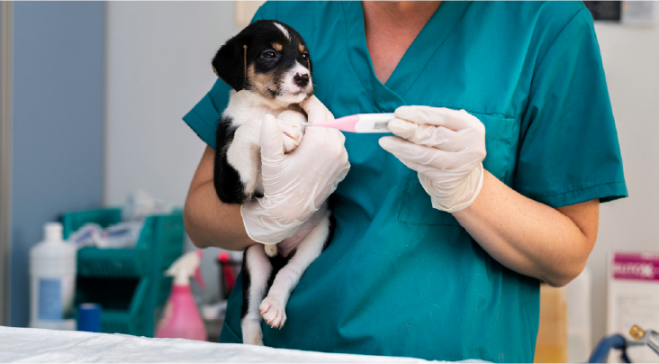 Never Miss a Vaccination – Timely Alerts via VnC