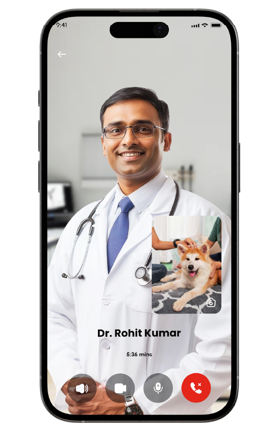 Get Free Online Vet Consultation | 24/7 Online Vet Advice Get Free Online Vet Consultation | 24/7 Online Vet Advice