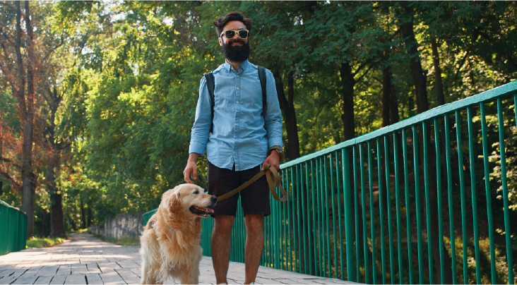 Reliable And Vetted Pet Walker Consultation – Vnc App India For Safe Dog Walks