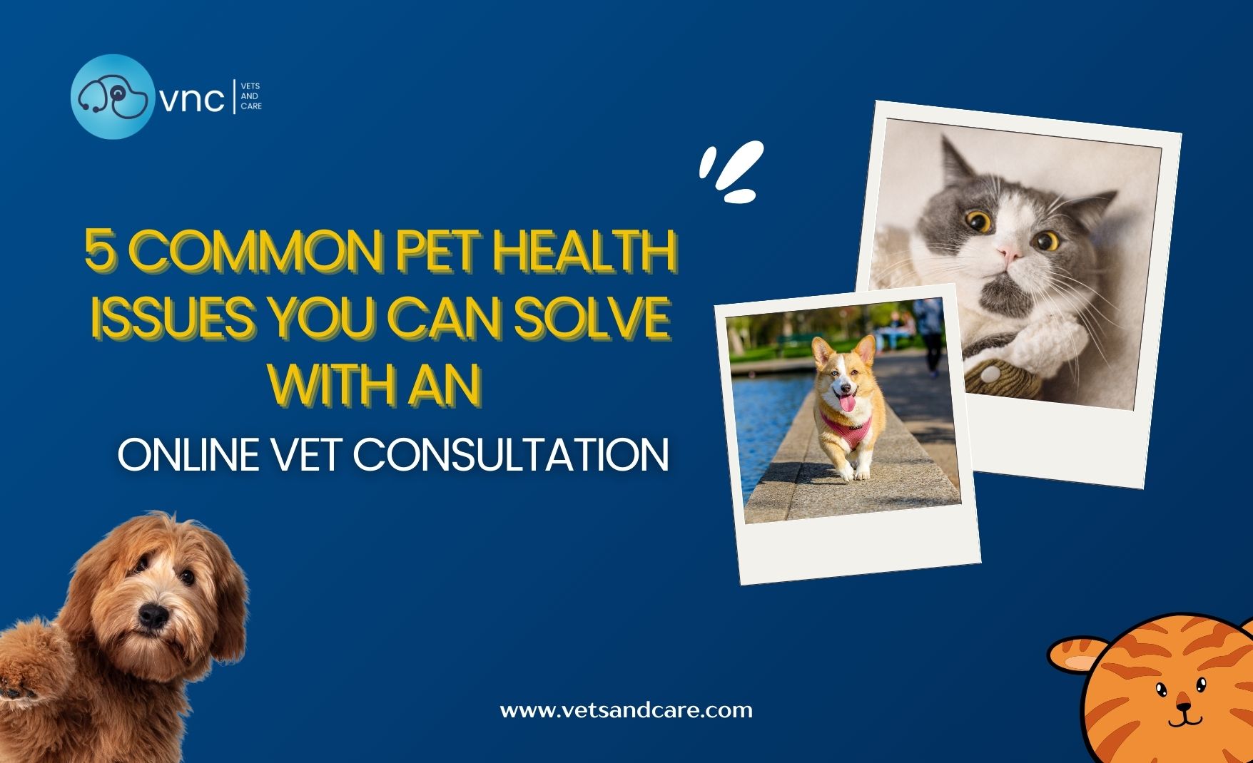 5 Common Pet Health Issues