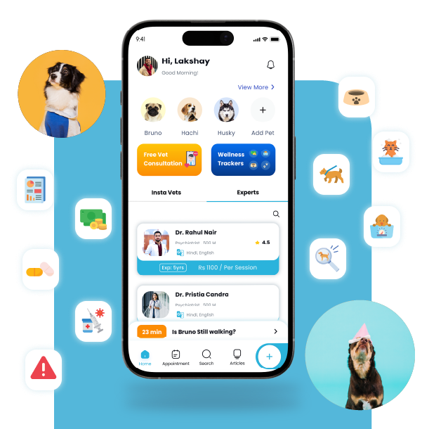 Online Vet Consultation