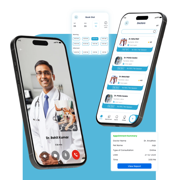 Online Vet Consultation Through Video Call on Vets & Care