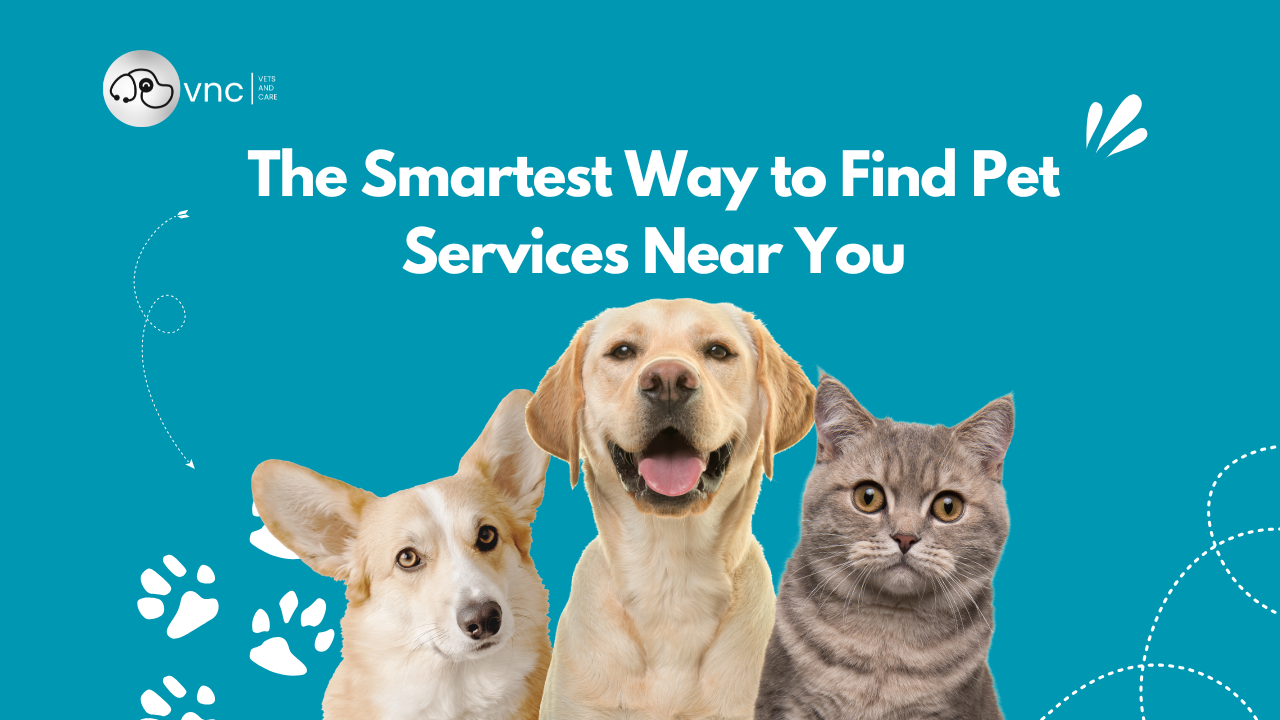 vets and care