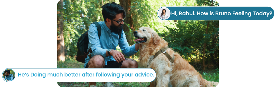 Consult A Vet Online With One Tap