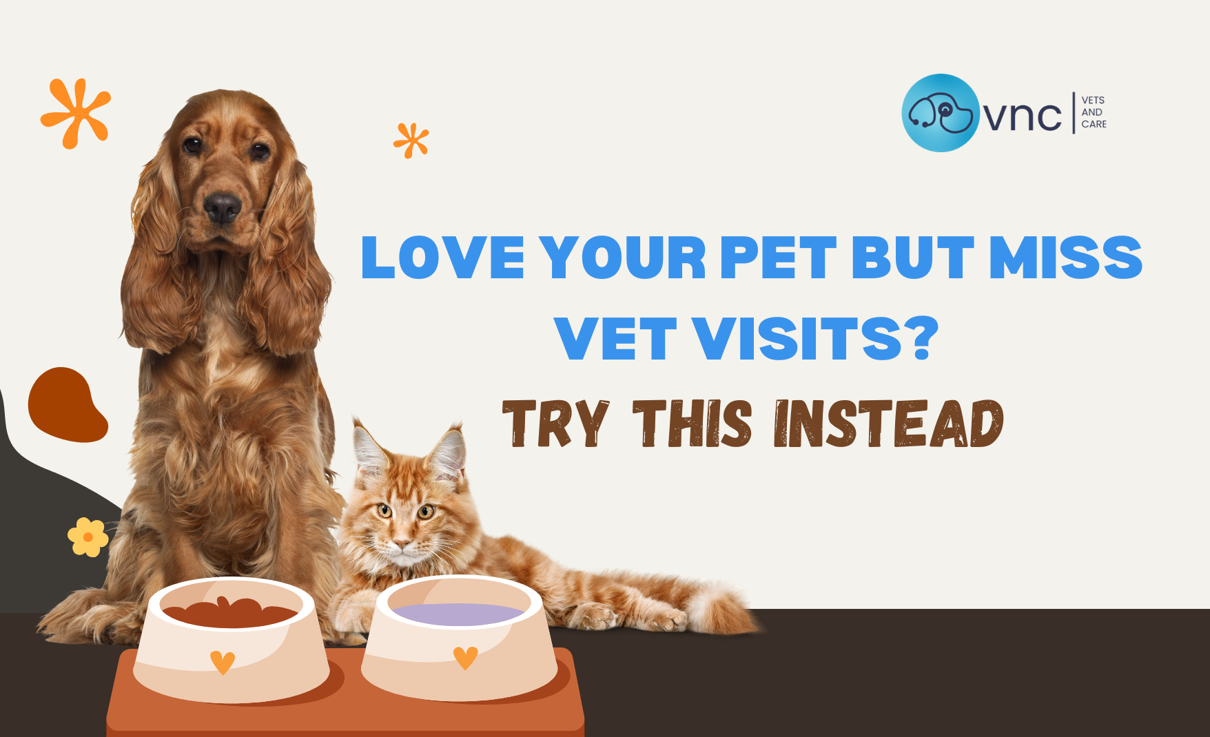 Vets and care blog