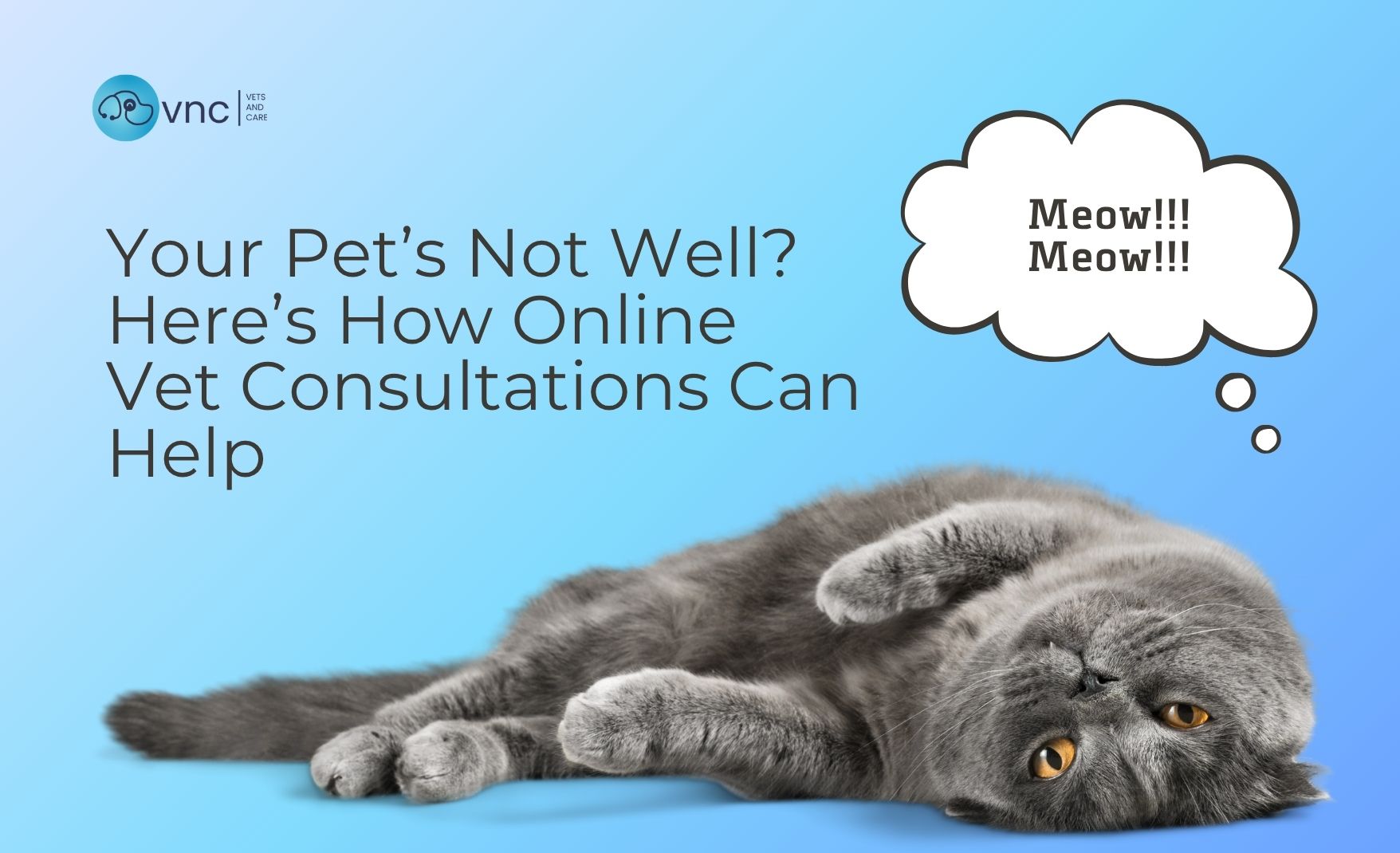 online vet consultation