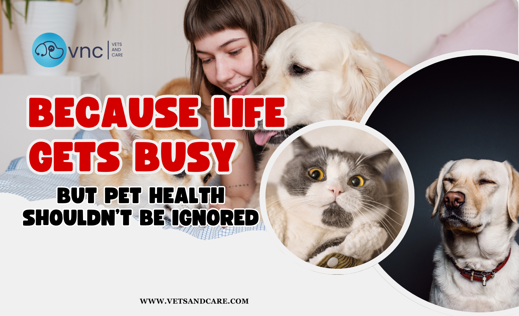 vets and care