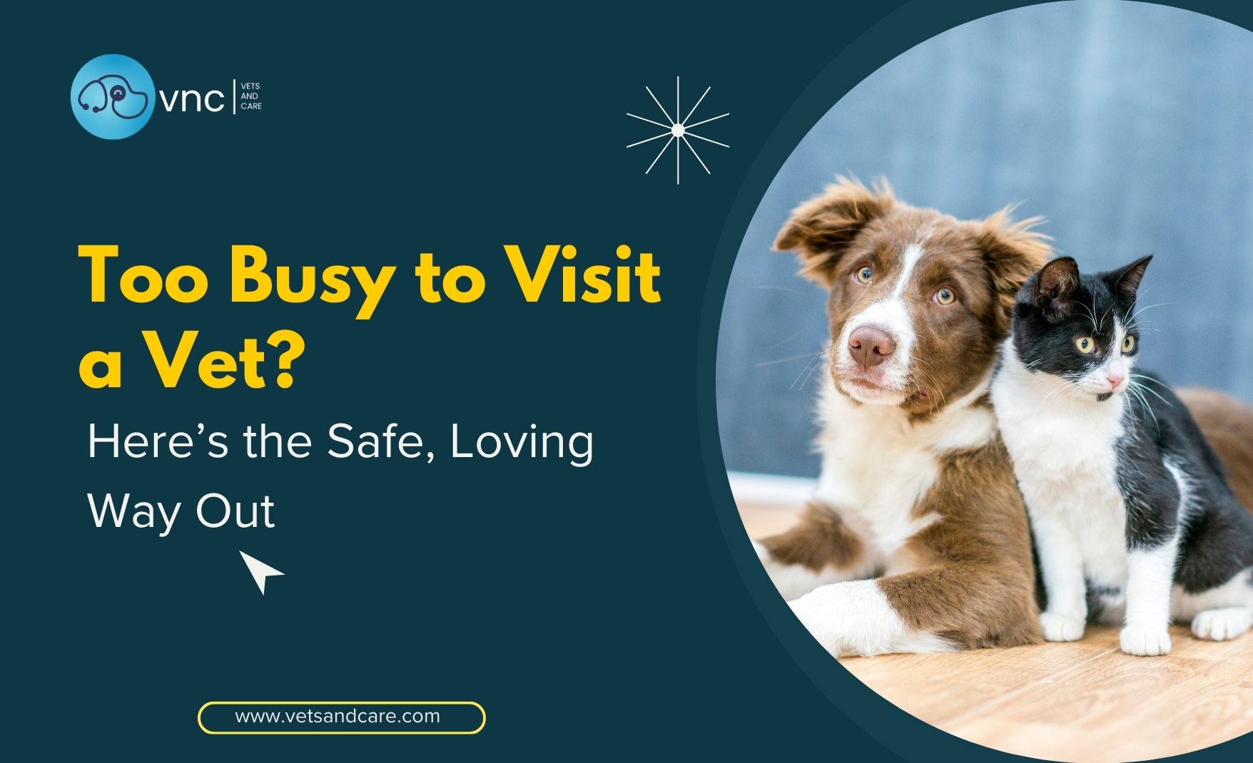 Vets and care
